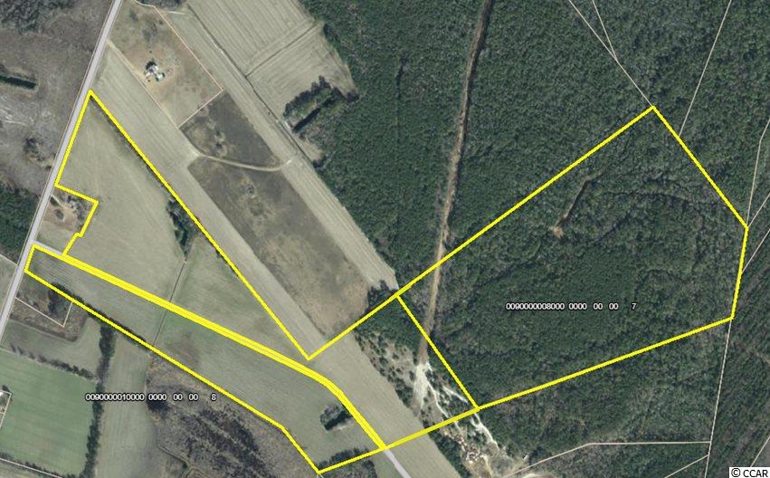 Temperance Hill Road Marion, SC 29571 - Photo 3 of 25 Gallery Image 3