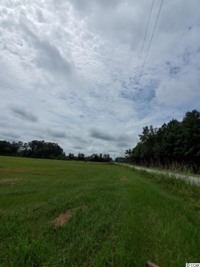 Temperance Hill Road Marion, SC 29571 - Photo 22 of 25 Gallery Image 22