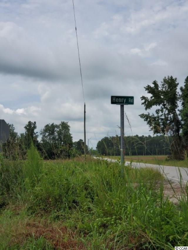 Temperance Hill Road Marion, SC 29571 - Photo 23 of 25 Gallery Image 23