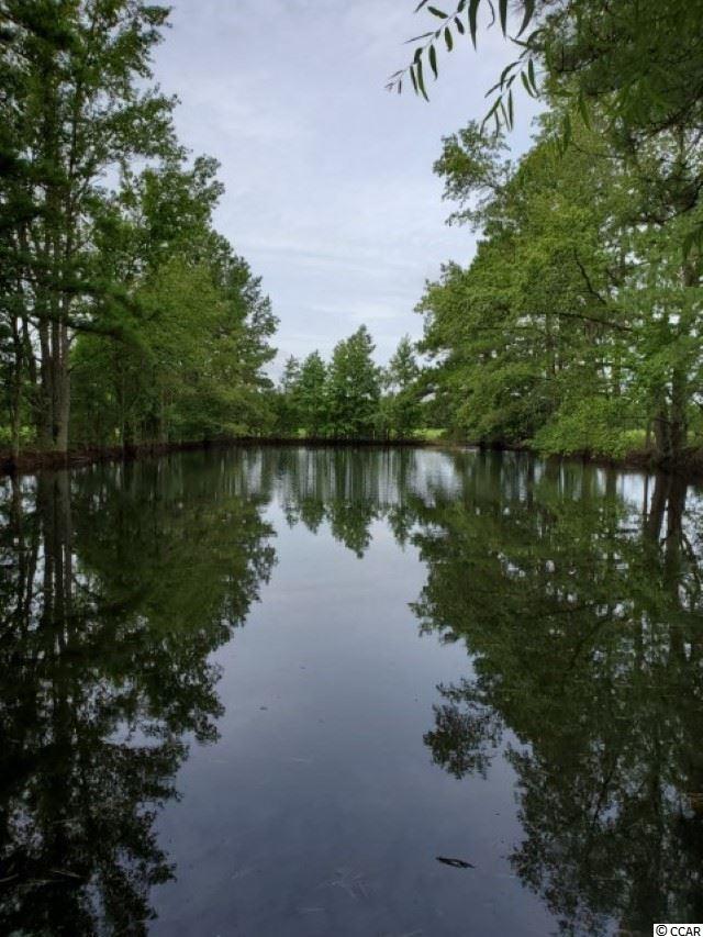 Temperance Hill Road Marion, SC 29571 - Photo 9 of 25 Gallery Image 9