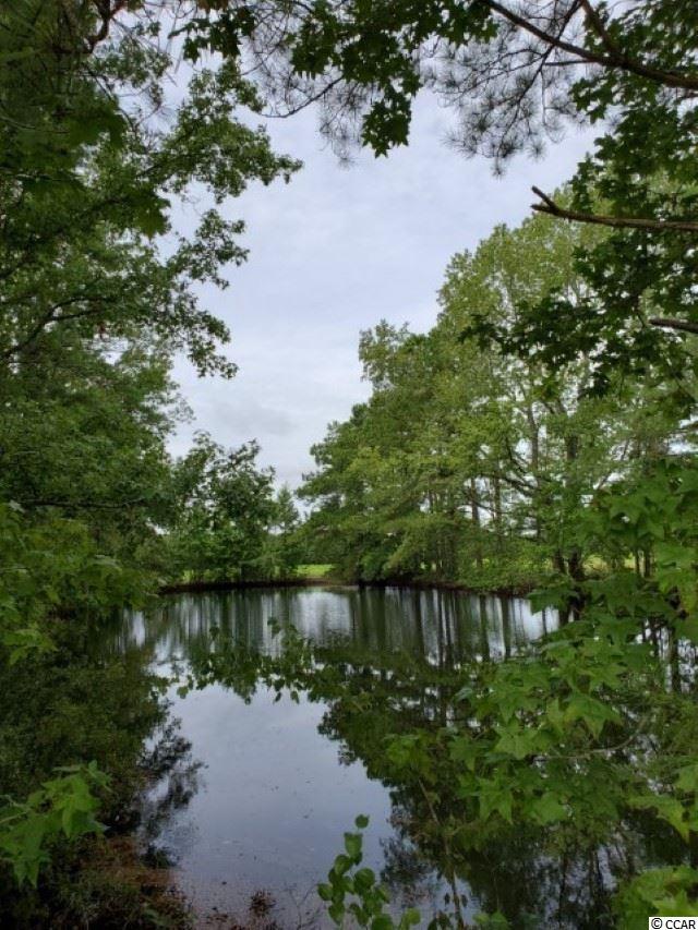 Temperance Hill Road Marion, SC 29571 - Photo 10 of 25 Gallery Image 10