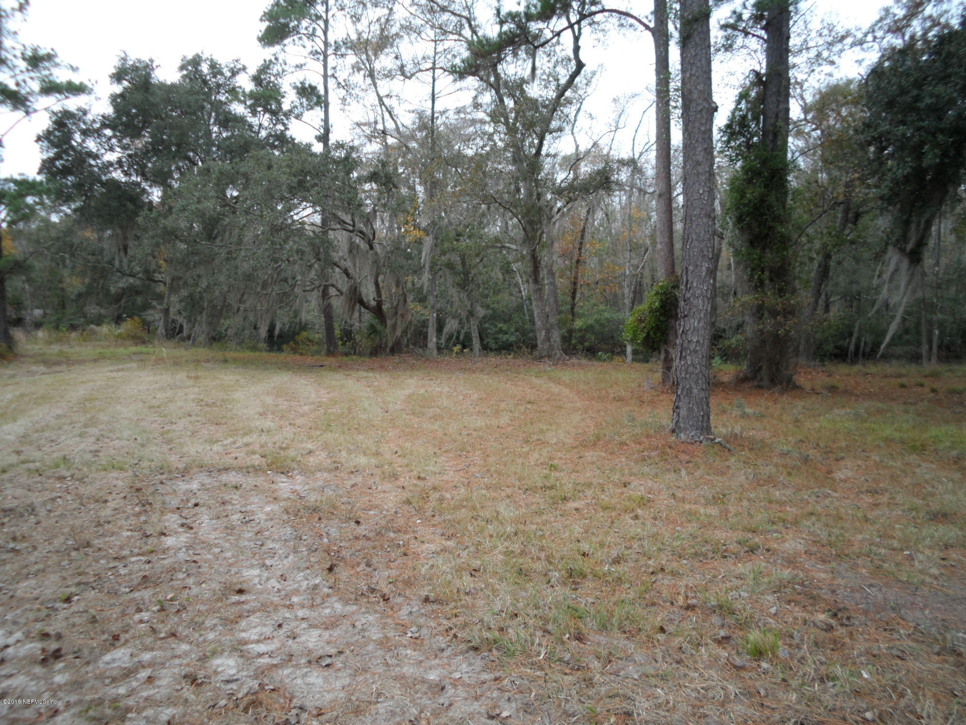 2312 Pages Dairy Road Yulee, FL 32097 - Photo 3 of 10 a view of empty room with trees