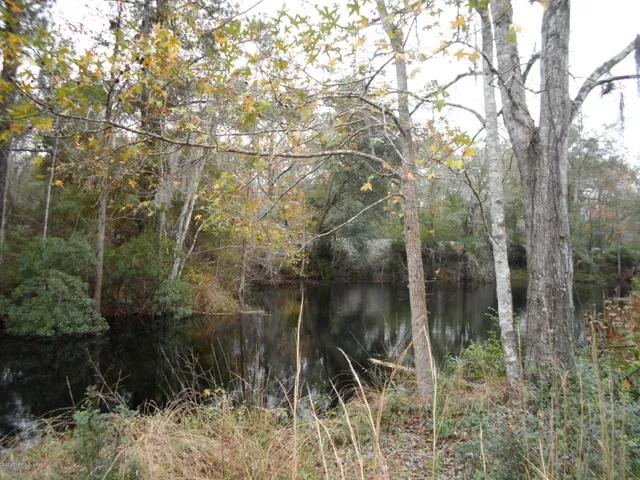 a view of a lake with a tree