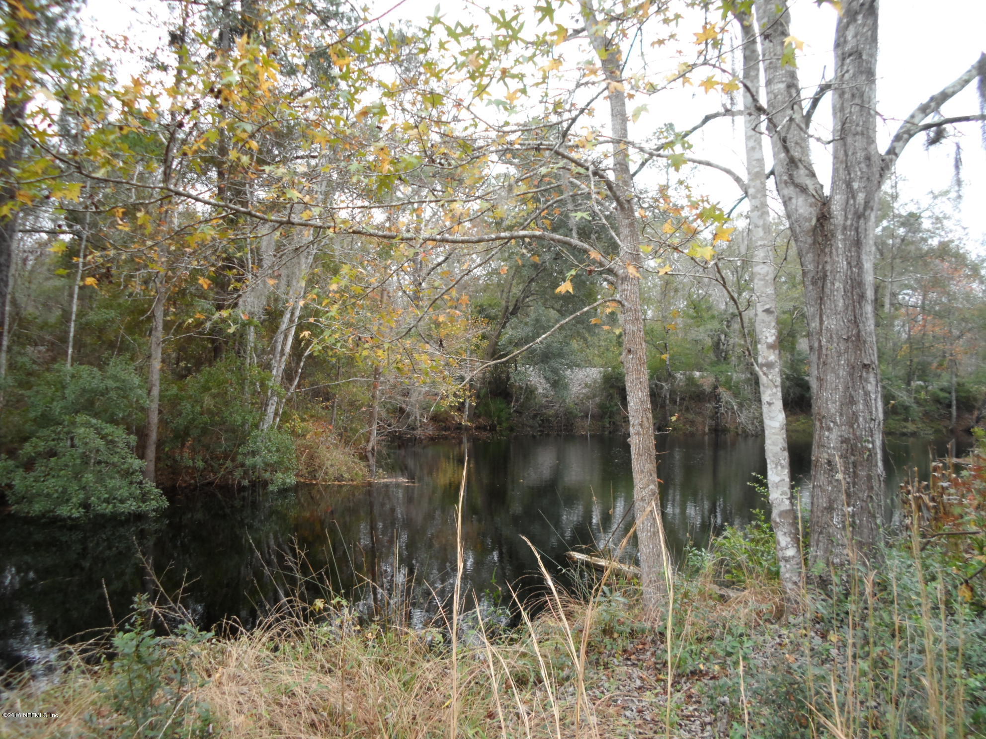 2312 Pages Dairy Road Yulee, FL 32097 - Photo 4 of 10 a view of a lake with a tree