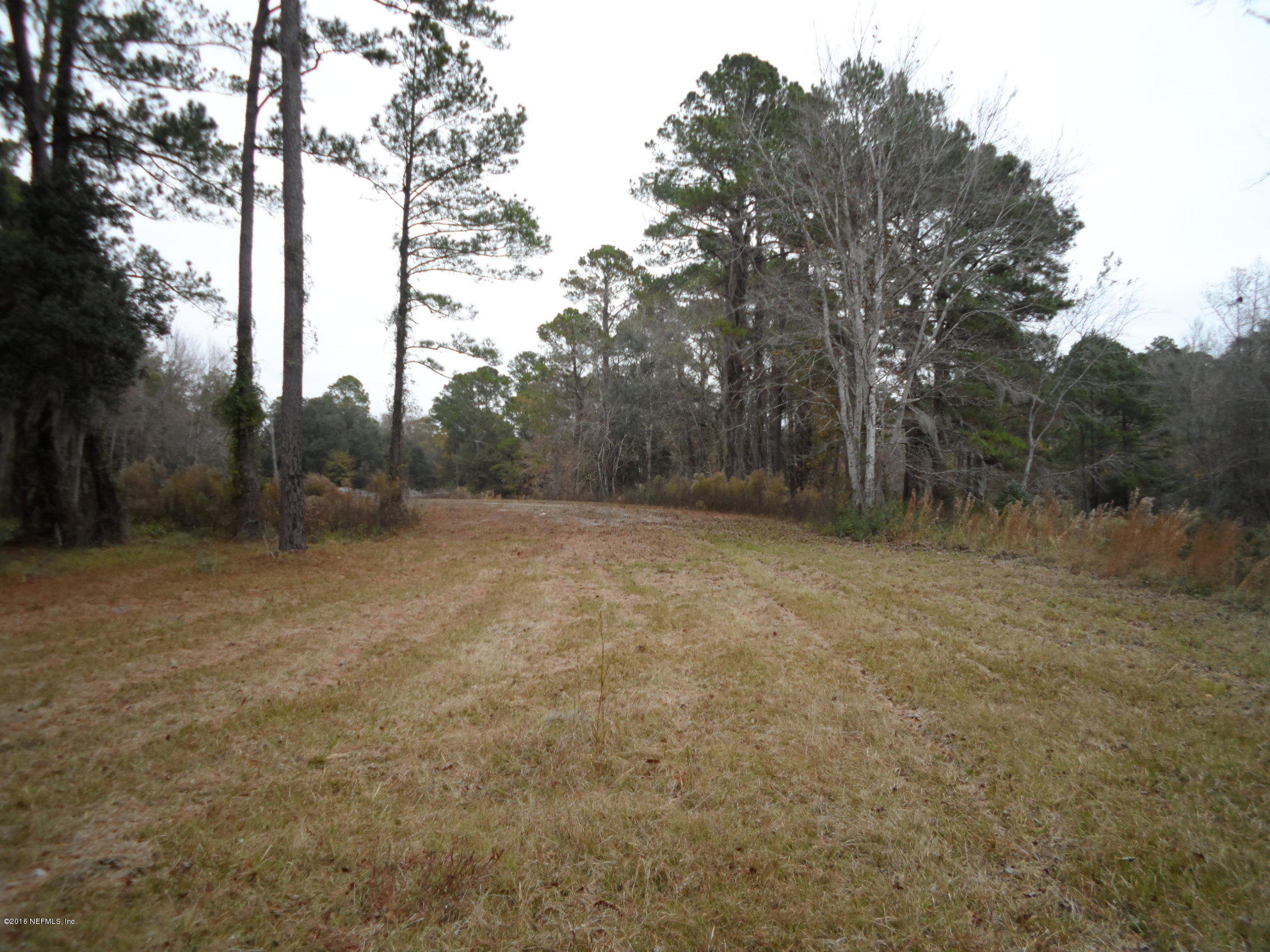 2312 Pages Dairy Road Yulee, FL 32097 - Photo 5 of 10 a view of a field with trees in background