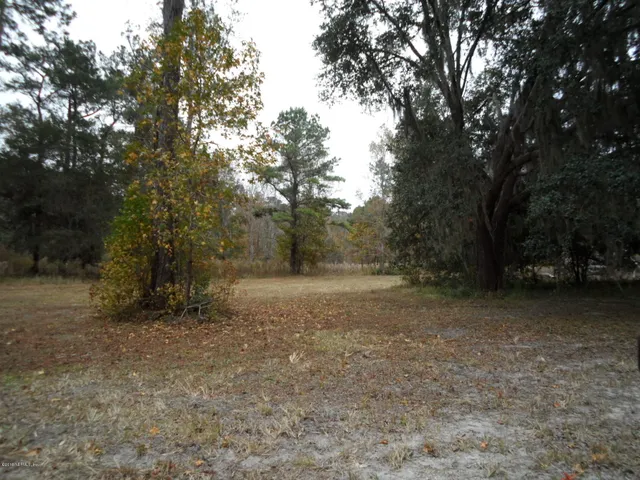 a view of a field with trees in the background