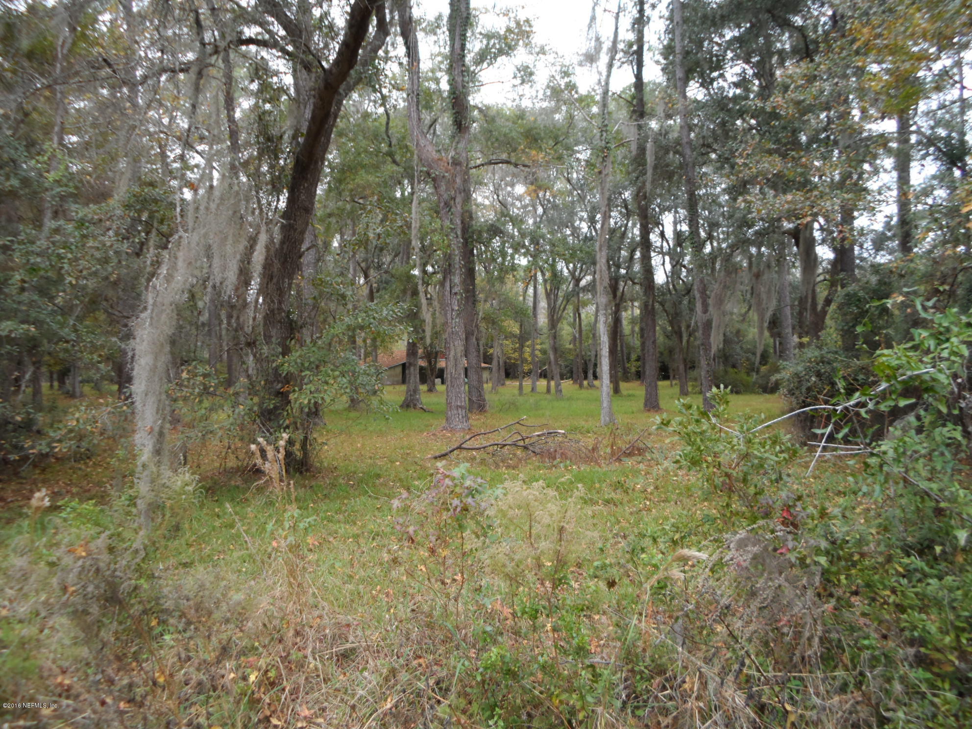 2312 Pages Dairy Road Yulee, FL 32097 - Photo 9 of 10 a view of outdoor space and trees