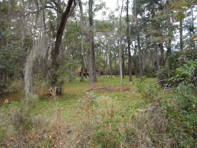 a view of outdoor space with trees all around