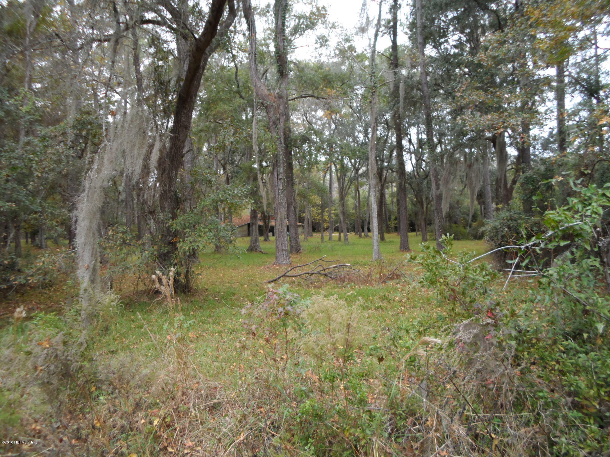 2312 Pages Dairy Road Yulee, FL 32097 - Photo 10 of 10 a view of outdoor space with trees all around