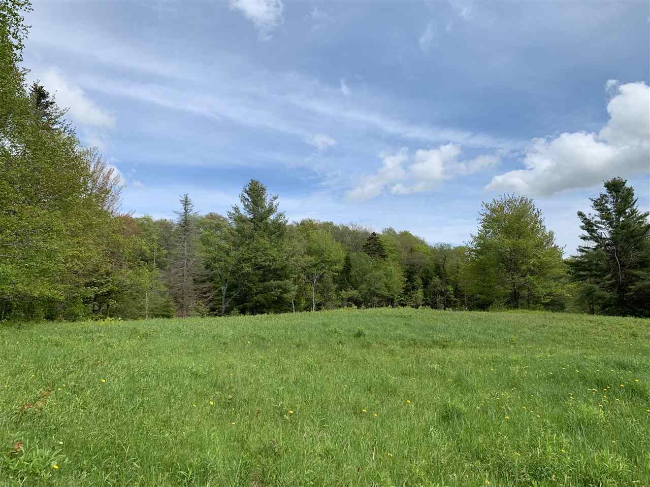 144 Hedgehog Hill Road South Mount Holly, VT 05730 - Photo 1 of 18