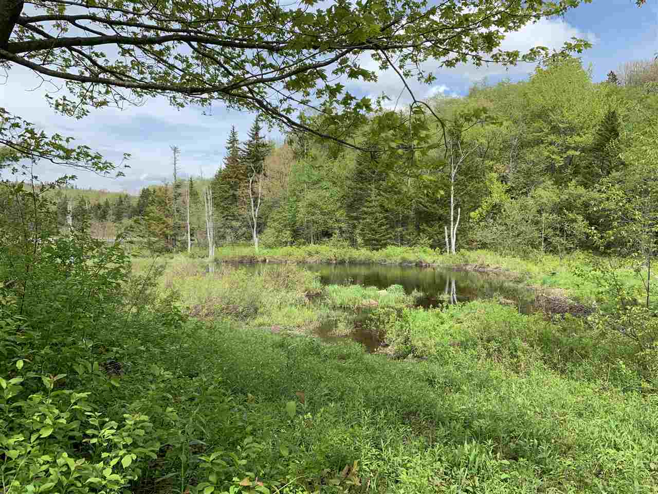 144 Hedgehog Hill Road South Mount Holly, VT 05730 - Photo 11 of 18