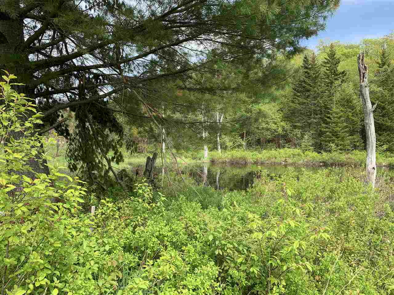 144 Hedgehog Hill Road South Mount Holly, VT 05730 - Photo 12 of 18