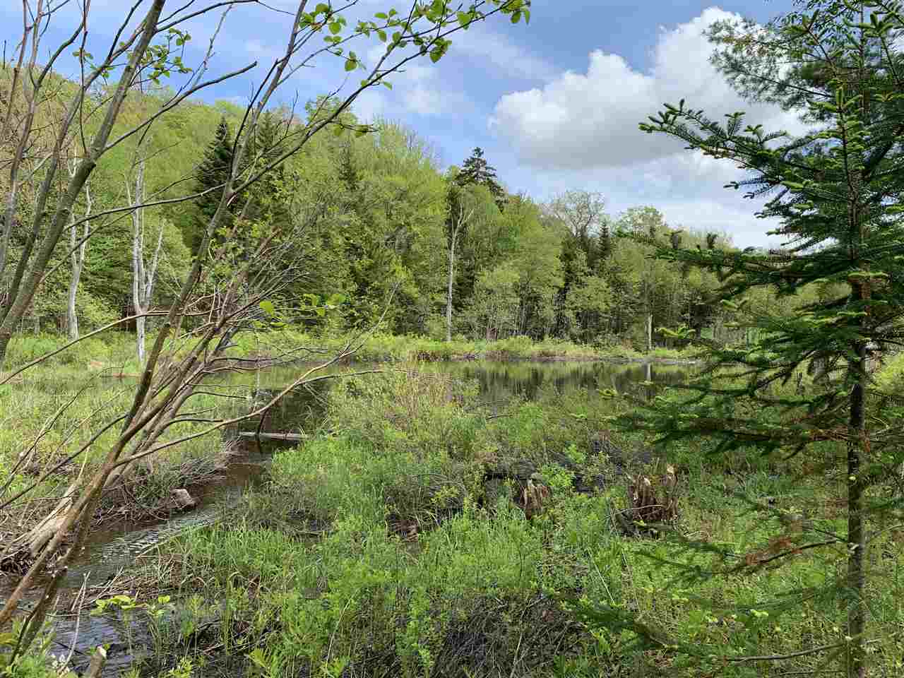 144 Hedgehog Hill Road South Mount Holly, VT 05730 - Photo 13 of 18