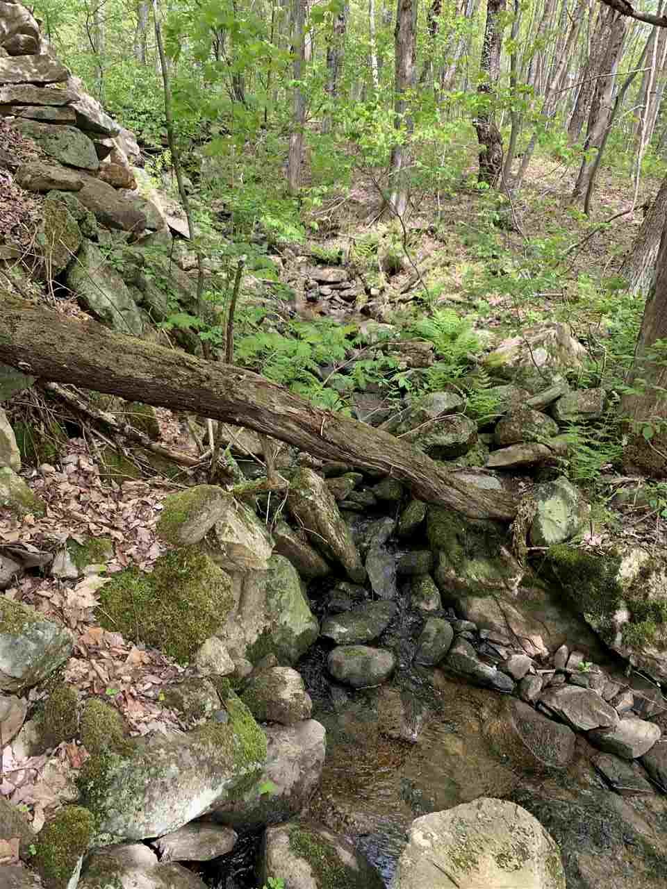 144 Hedgehog Hill Road South Mount Holly, VT 05730 - Photo 15 of 18