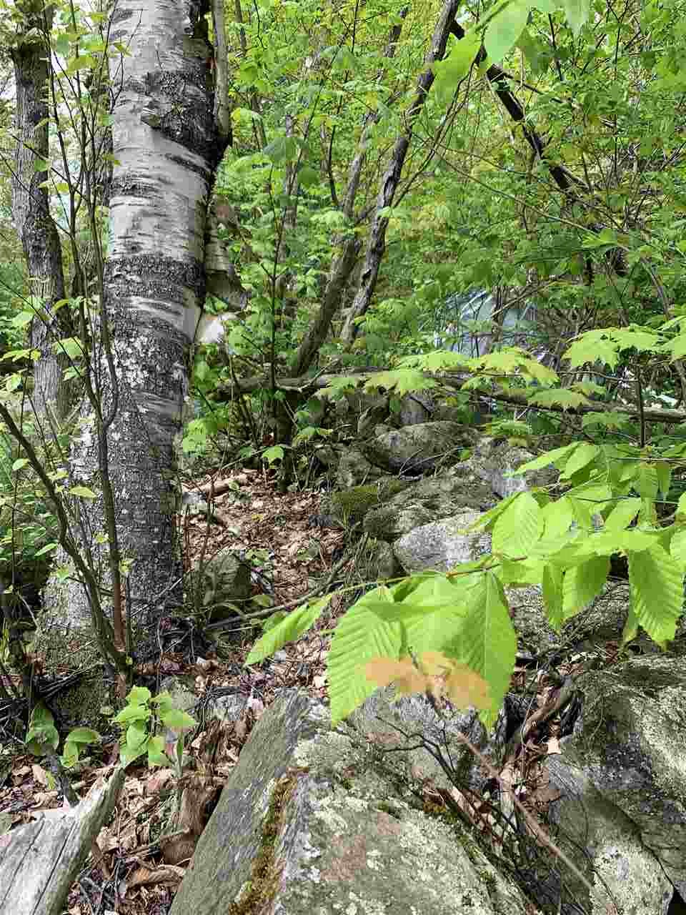 144 Hedgehog Hill Road South Mount Holly, VT 05730 - Photo 16 of 18