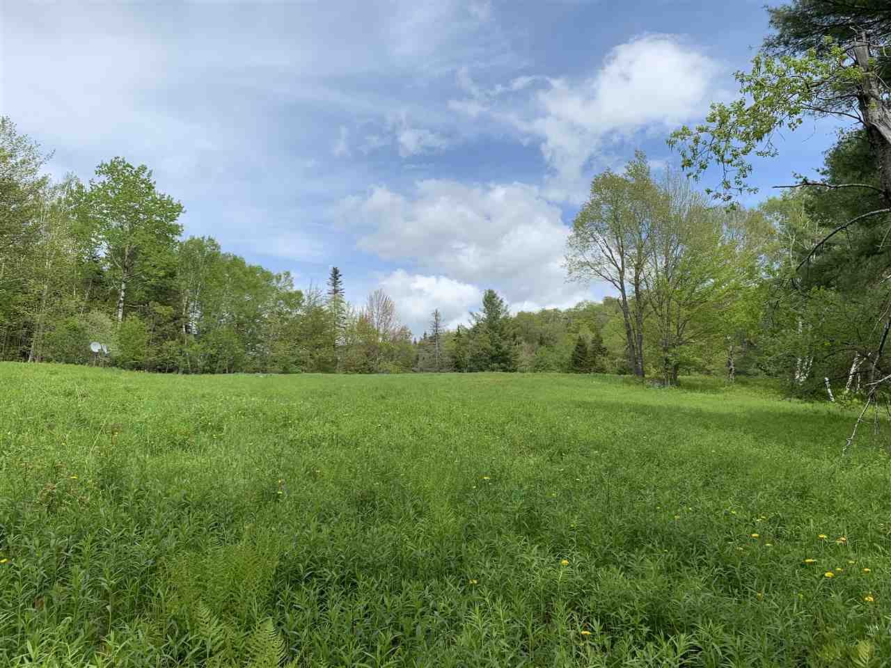 144 Hedgehog Hill Road South Mount Holly, VT 05730 - Photo 5 of 18