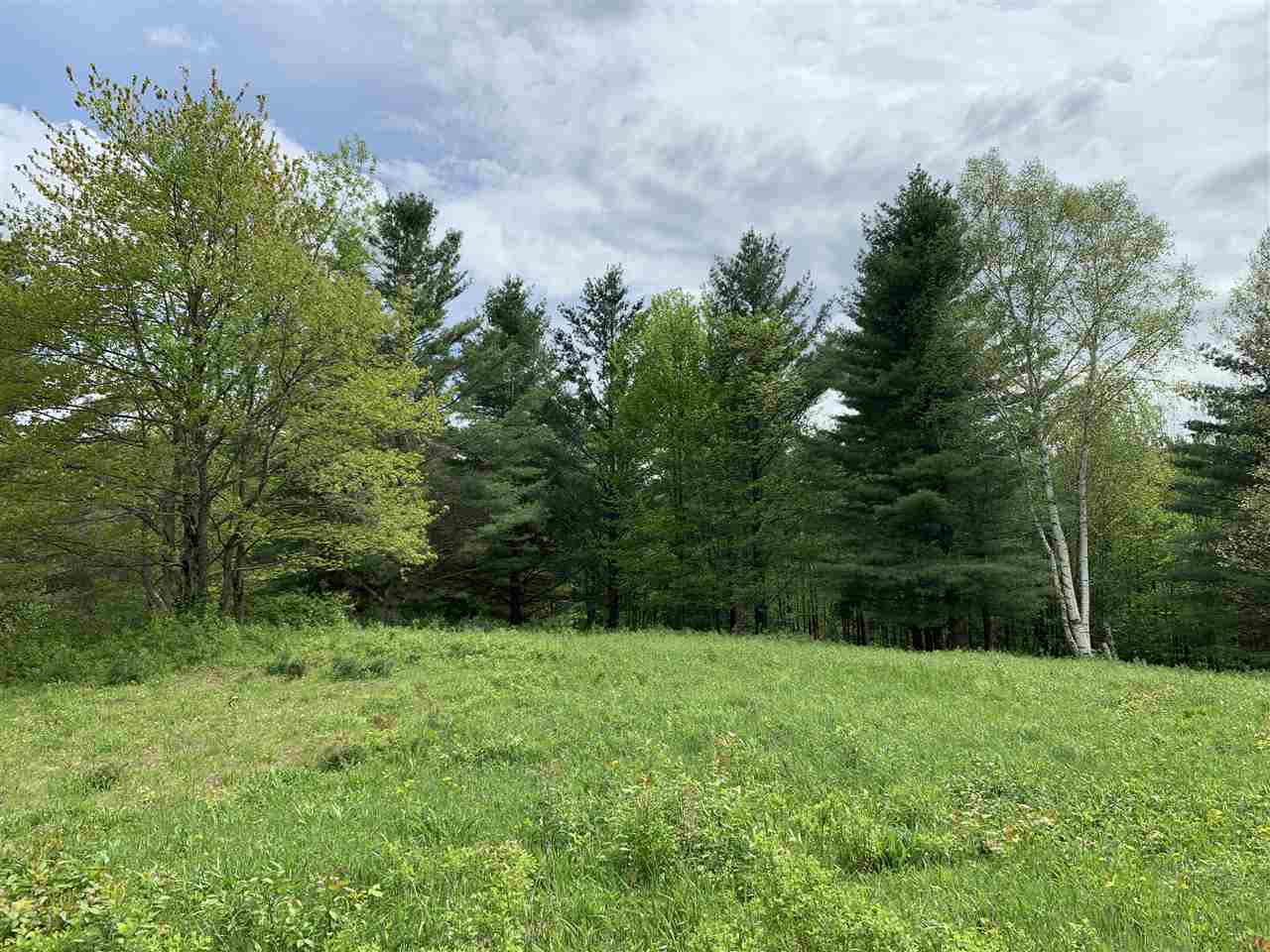144 Hedgehog Hill Road South Mount Holly, VT 05730 - Photo 6 of 18