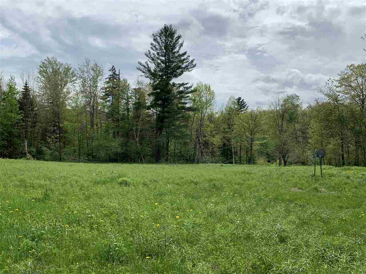 144 Hedgehog Hill Road South Mount Holly, VT 05730 - Photo 7 of 18