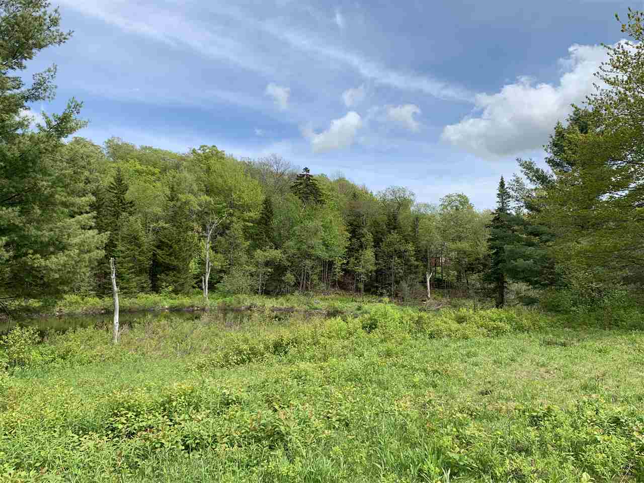 144 Hedgehog Hill Road South Mount Holly, VT 05730 - Photo 10 of 18