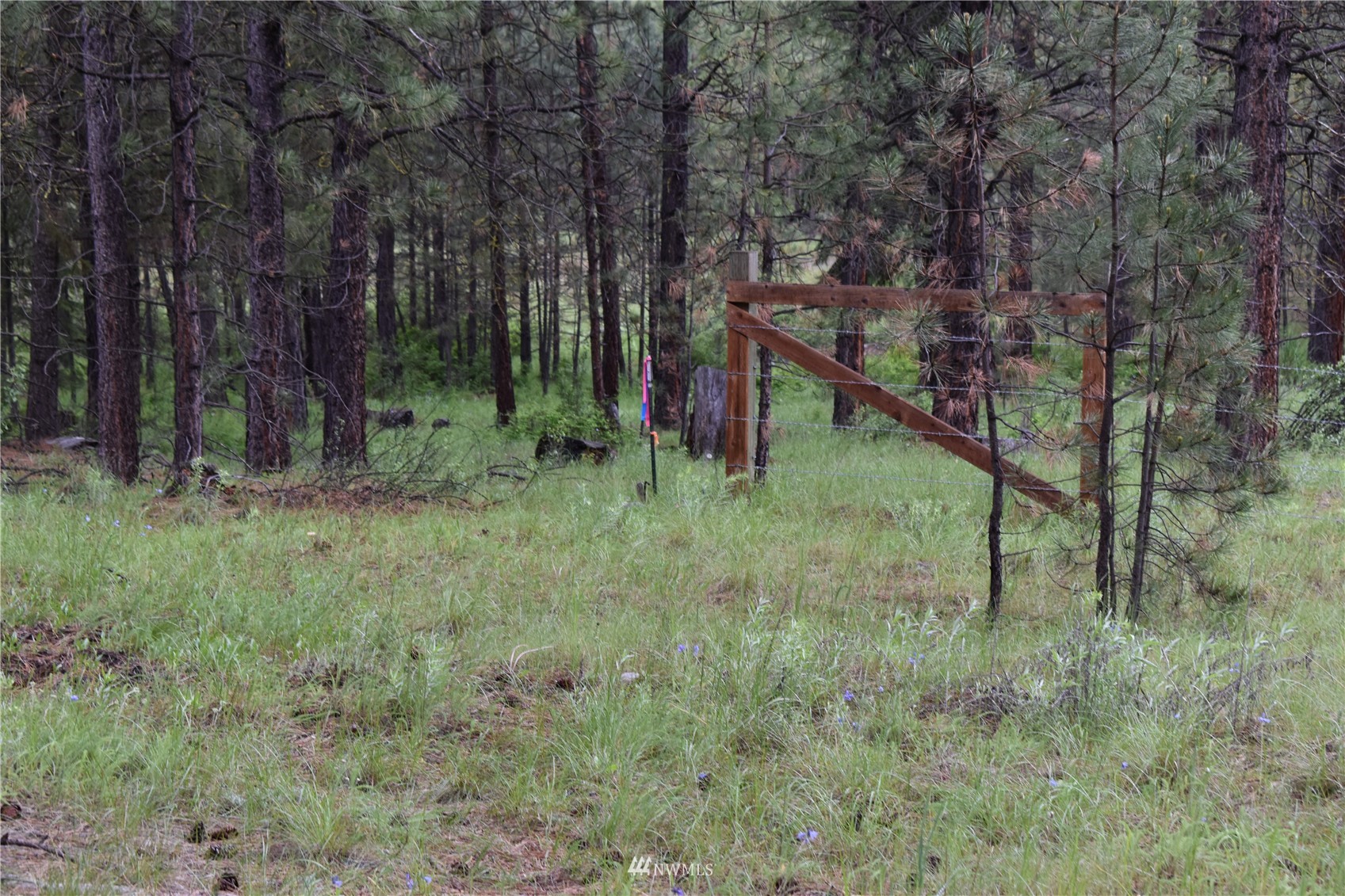 4-lot Turtle Run Road Tonasket, WA 98855 - Photo 3 of 40 a view of trees in a yard
