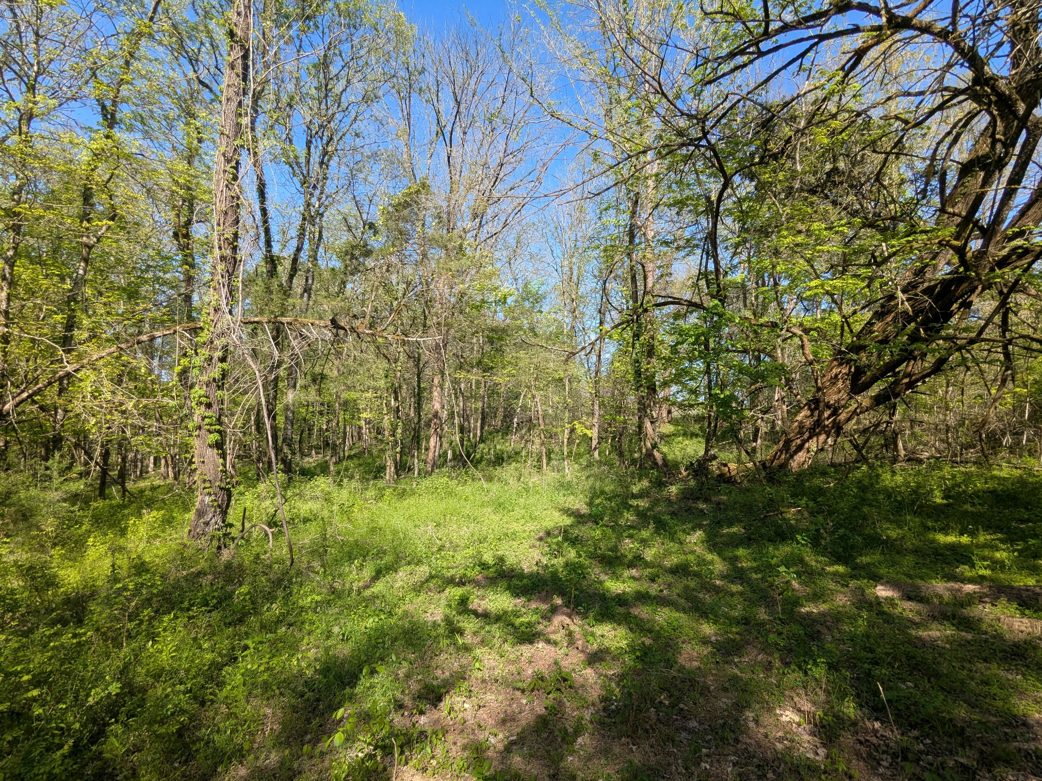 5 Old Stage Road Ardmore, TN 38449 - Photo 4 of 15 Gallery Image 4