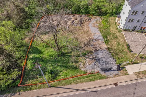 a view of a garden with a tree