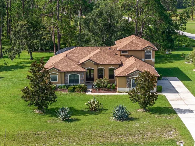 a view of a park with large trees