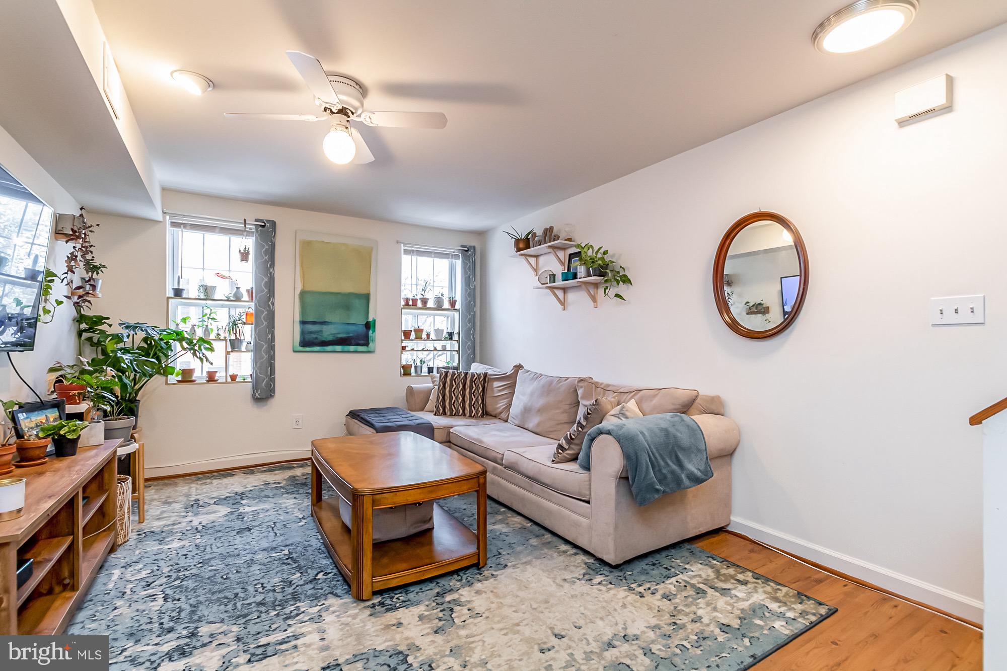 1122 William Street, Unit B Baltimore, MD 21230 - Photo 7 of 31 a living room with furniture and a potted plant