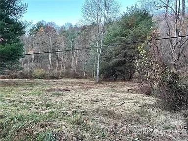 Tbd Broken Wheel Road Clyde, NC 28721 - Photo 2 of 12 a view of a backyard