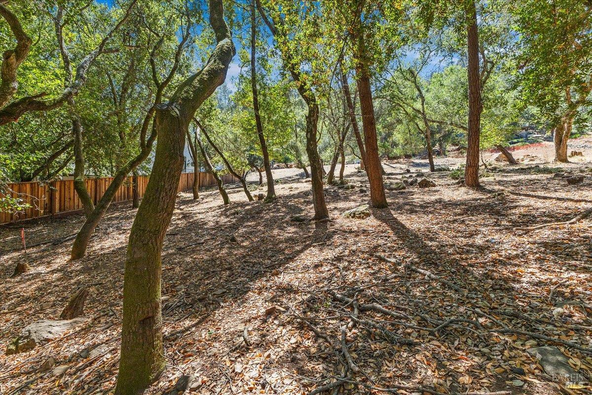 796 Los Olivos Road Santa Rosa, CA 95404 - Photo 3 of 9 a view of a forest filled with trees
