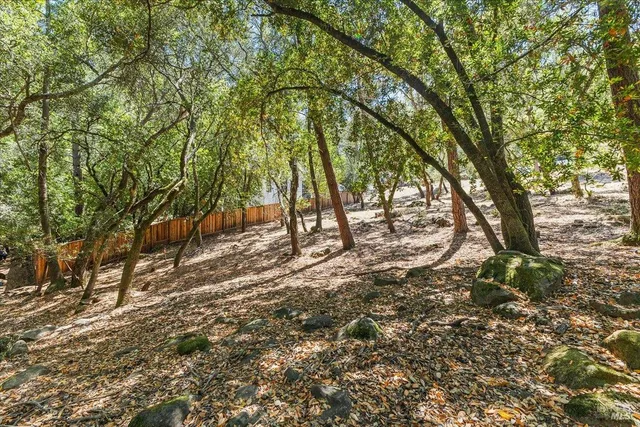 a view of outdoor space with deck and tree