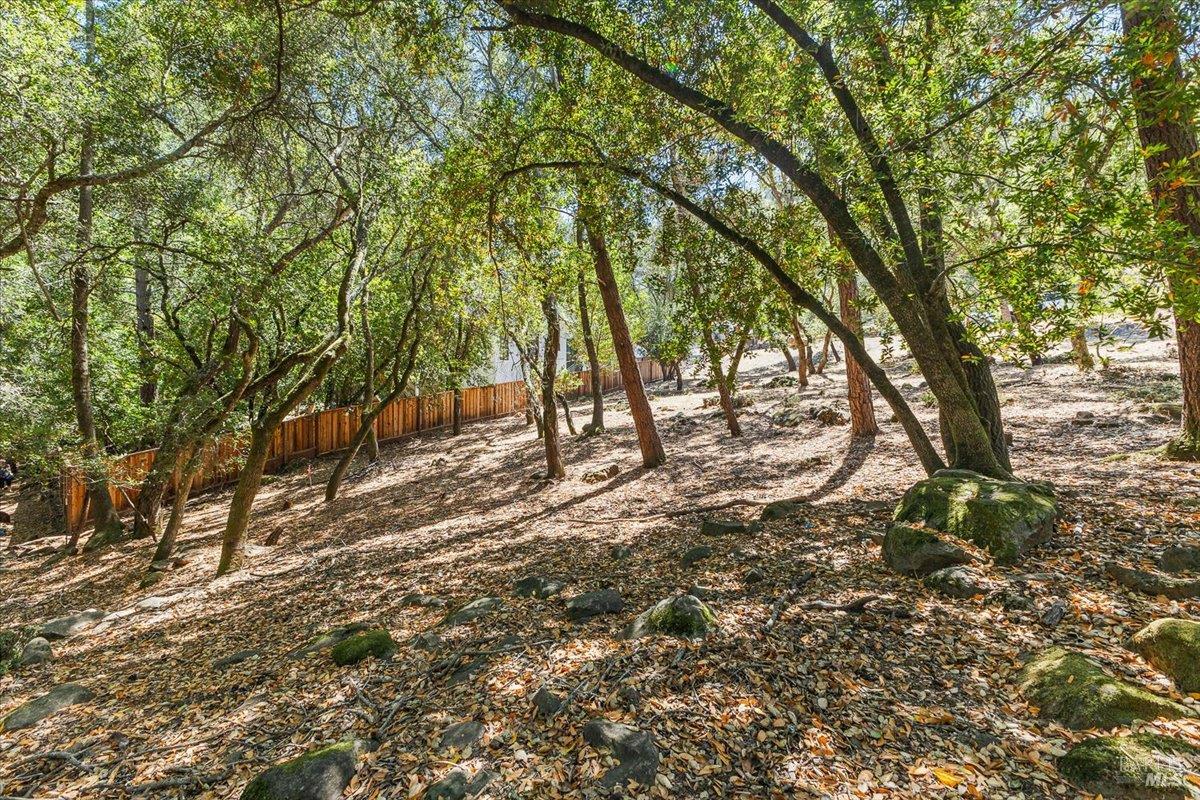796 Los Olivos Road Santa Rosa, CA 95404 - Photo 4 of 9 a view of outdoor space with deck and tree