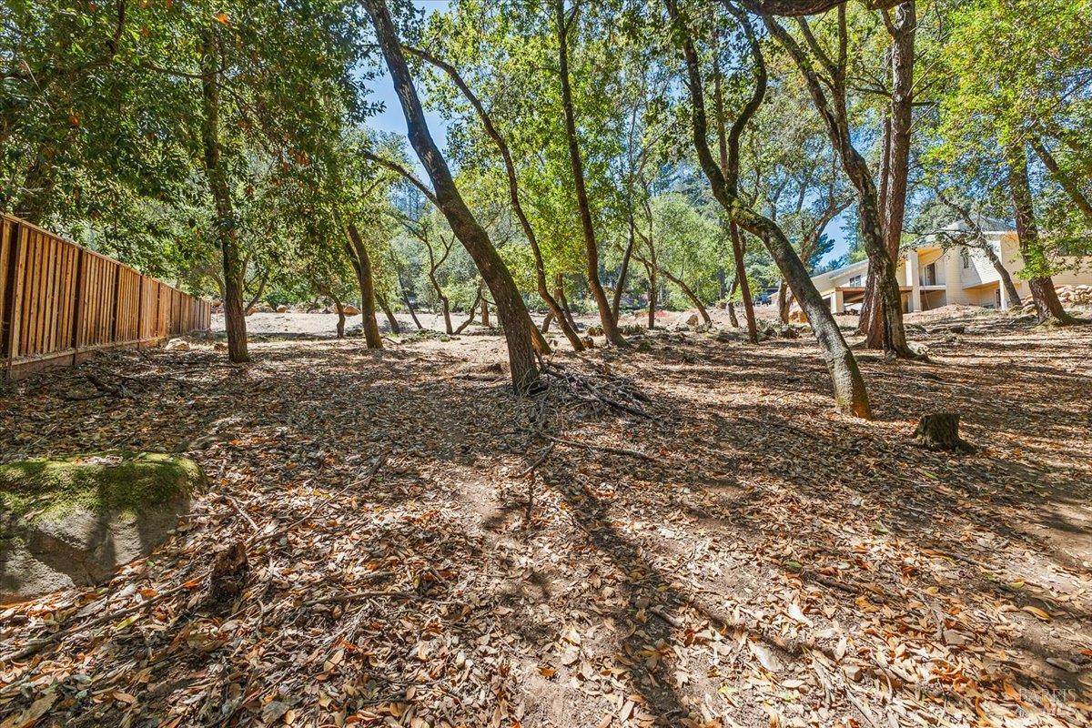 796 Los Olivos Road Santa Rosa, CA 95404 - Photo 6 of 9 a backyard of a house with lots of green space