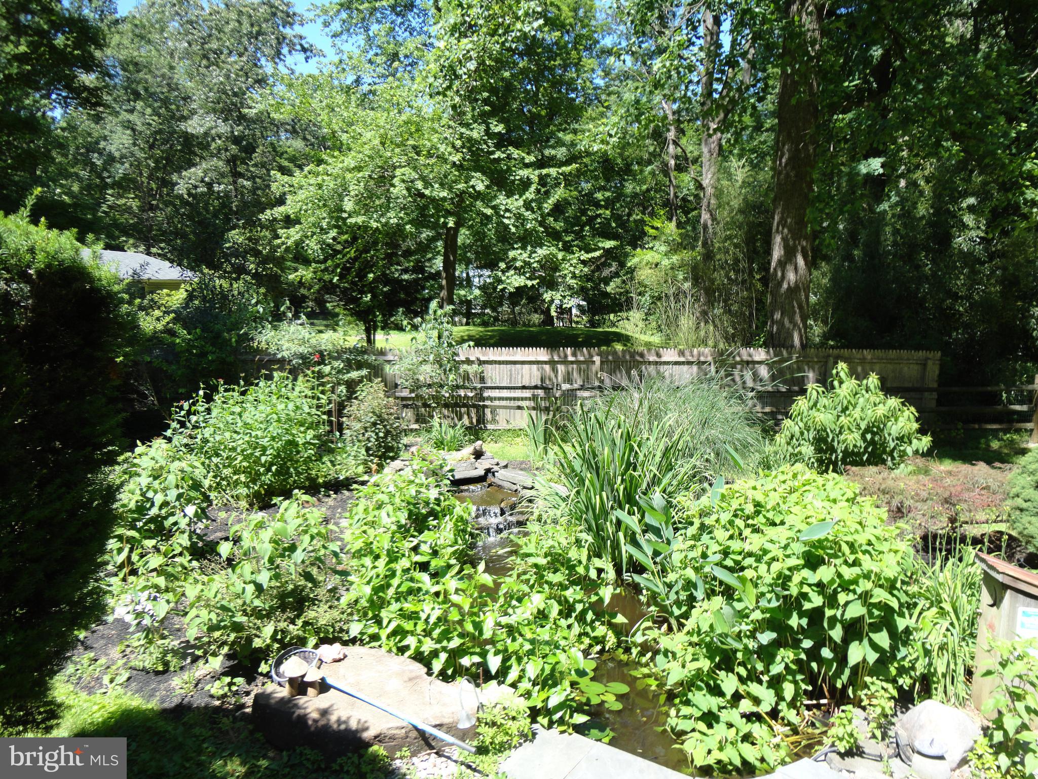 1454 Mission Road Quakertown, PA 18951 - Photo 34 of 47 Koi Pond