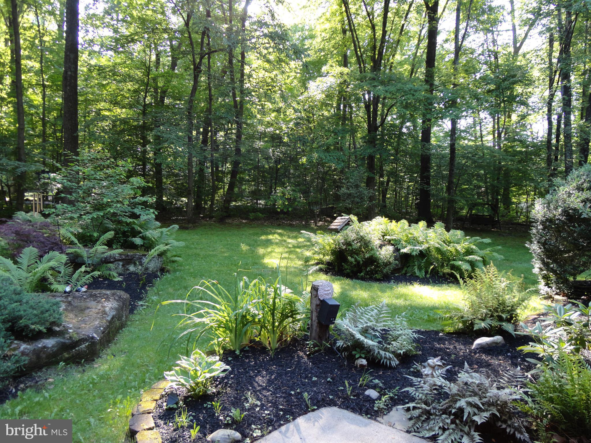 1454 Mission Road Quakertown, PA 18951 - Photo 37 of 47 Beautiful Yard