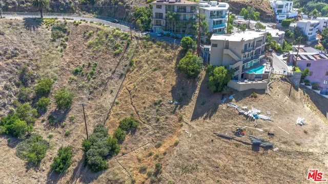 a view of a yard with plants and large trees