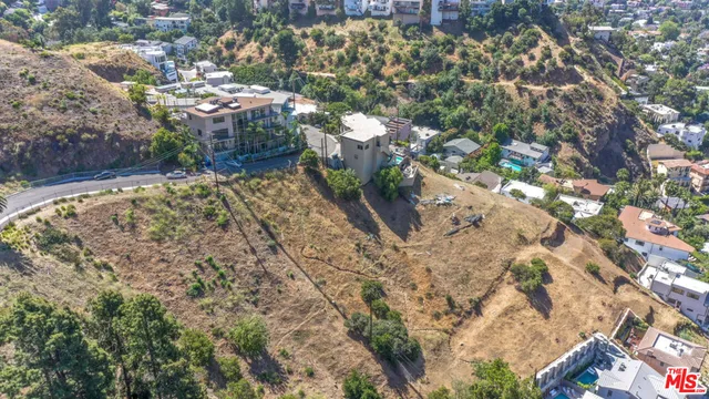a view of a yard with plants