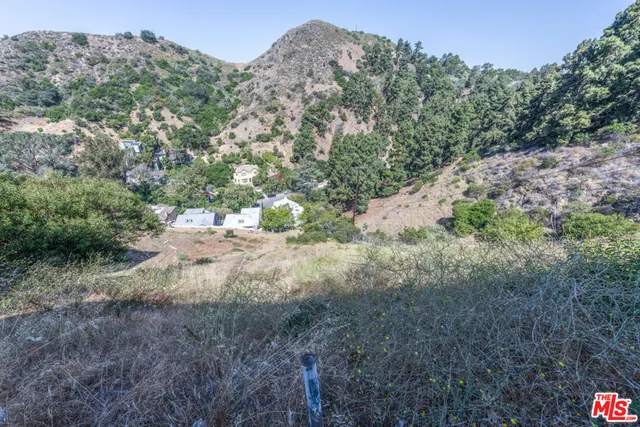 a view of a lake with large trees