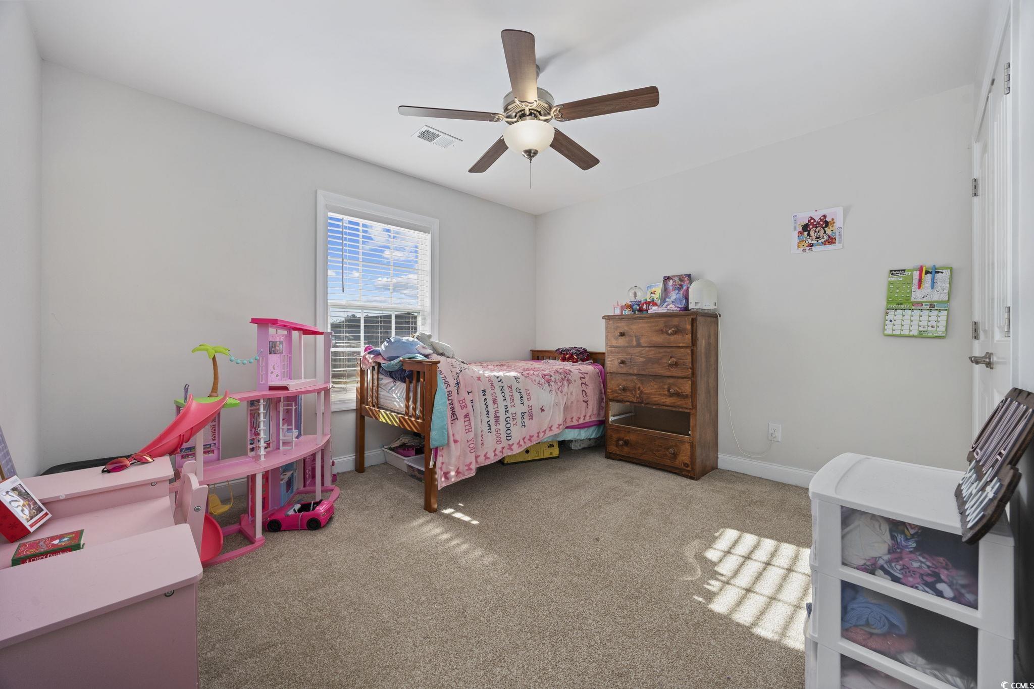 7353 Johnson Shortcut Road Conway, SC 29527 - Photo 22 of 39