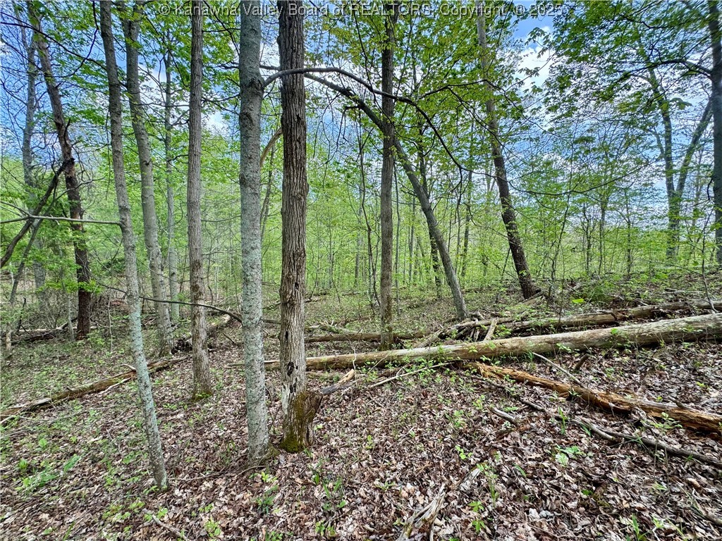 0 Sulug Road Leon, WV 25123 - Photo 11 of 18 Gallery Image 11