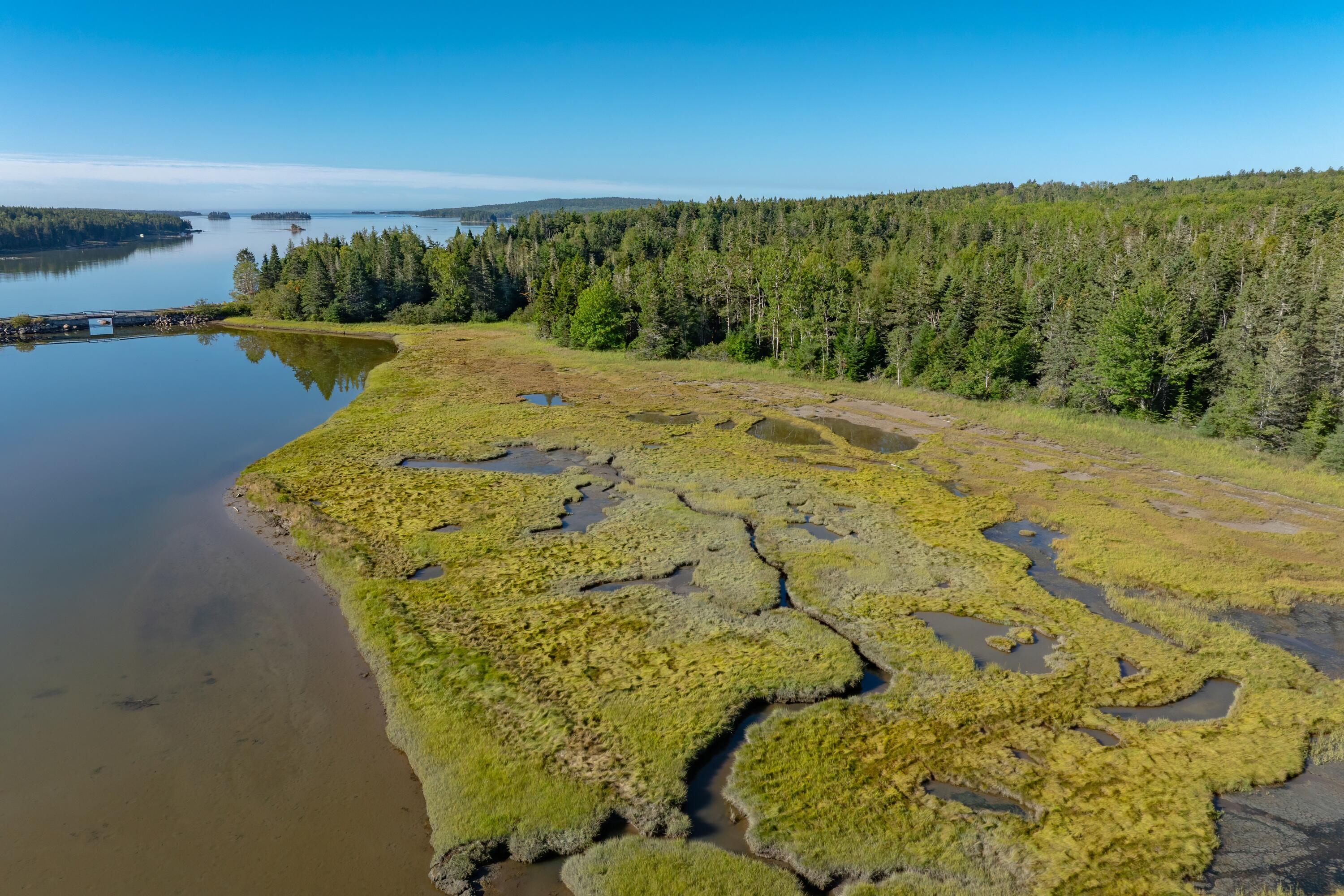 Lot 54 Pinkham Bay Bridge Road Steuben, ME 04680 - Photo 12 of 13