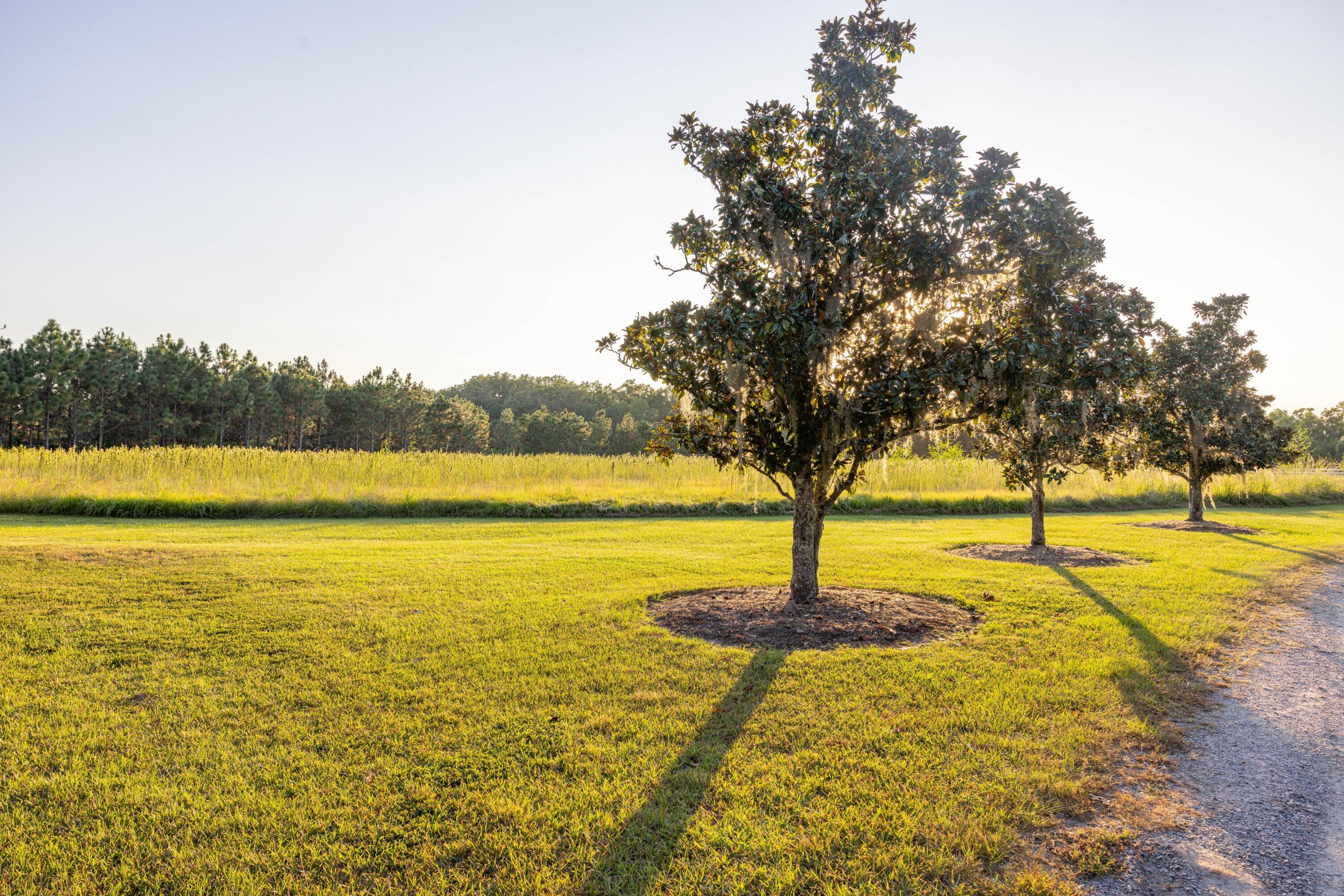 1451 River Road Yemassee, SC 29945 - Photo 103 of 111 183800-Ellis%20Creek%20Photography%20Par