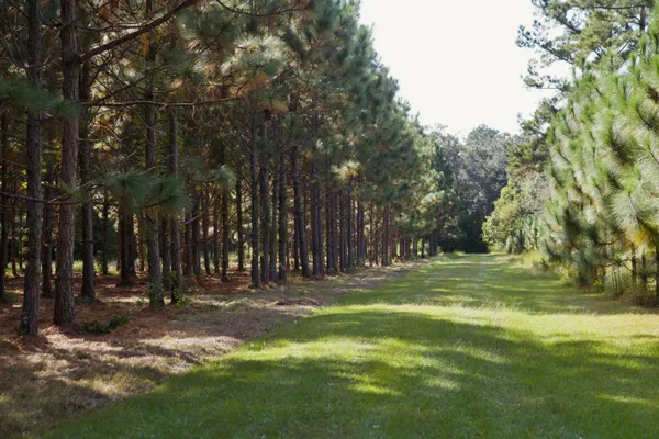 $7,200,000 | 1451 River Road, Yemassee, SC 29945