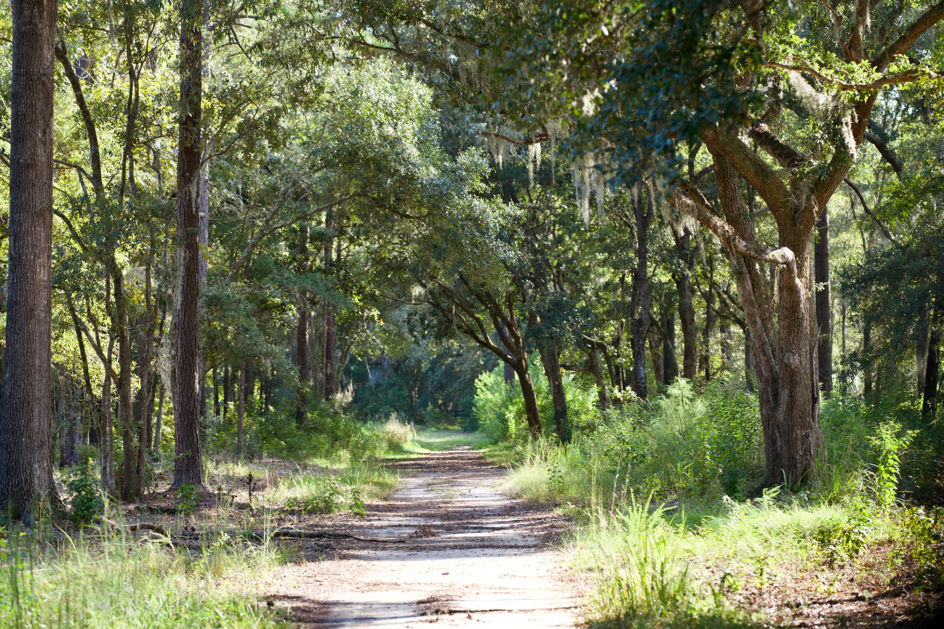 1451 River Road Yemassee, SC 29945 - Photo 108 of 111 DSC03229