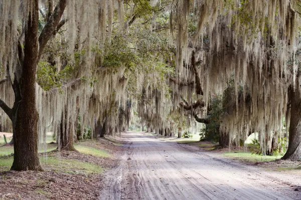 $7,200,000 | 1451 River Road, Yemassee, SC 29945