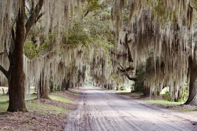 $7,200,000 | 1451 River Road, Yemassee, SC 29945