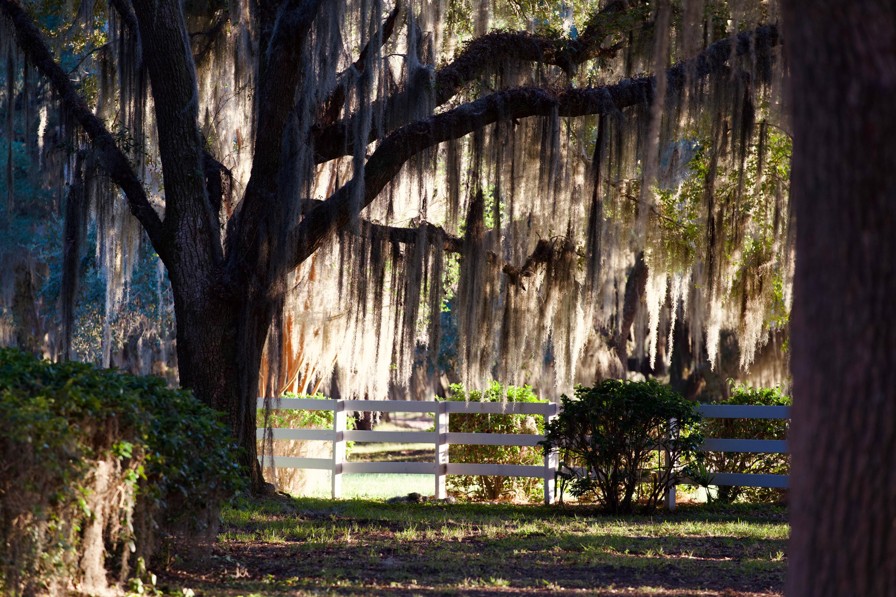 1451 River Road Yemassee, SC 29945 - Photo 110 of 111 DSC03418