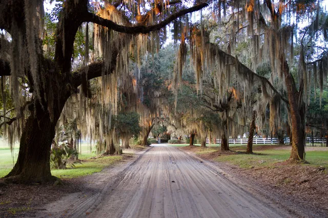 $7,200,000 | 1451 River Road, Yemassee, SC 29945