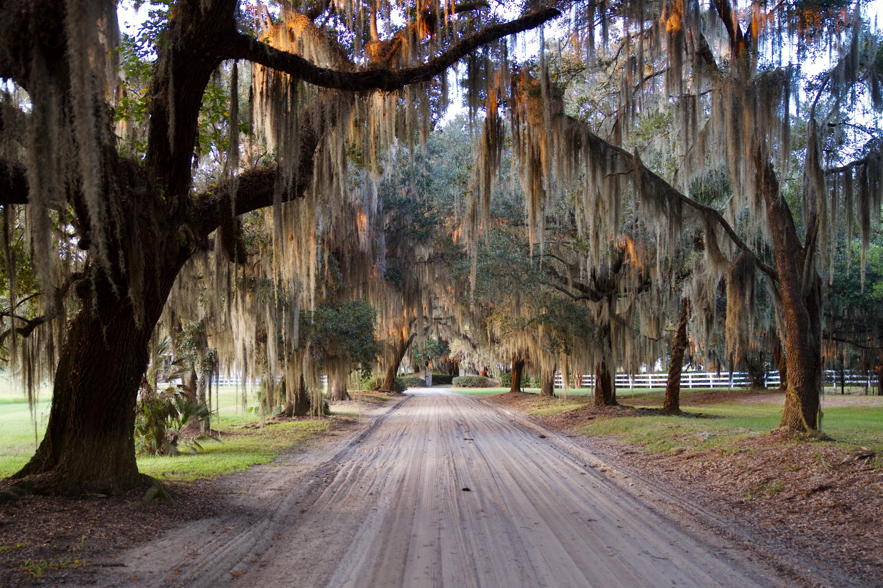 1451 River Road Yemassee, SC 29945 - Photo 111 of 111 DSC03455
