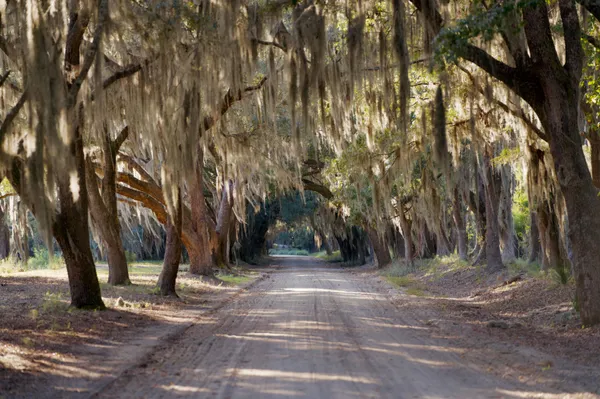 $7,200,000 | 1451 River Road, Yemassee, SC 29945